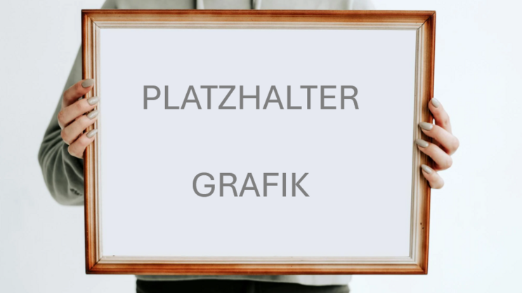 Alt-Text